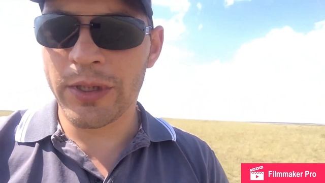 Грибы в Казахстане смотреть онлайн