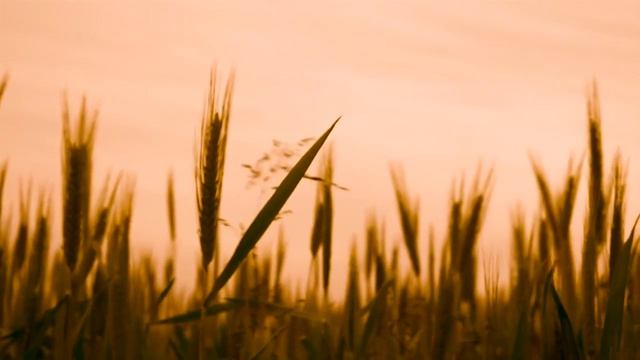 Relaxing Music, Sleep Meditation. Красивая расслабляющая музыка для медитации. подпишись на канал. смотреть онлайн