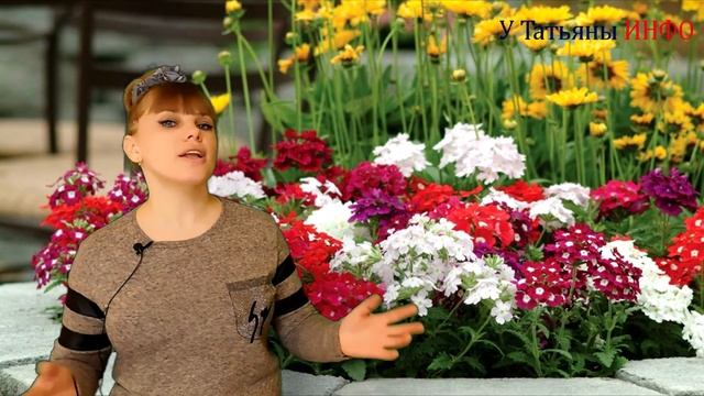 Какие цветы сеять в феврале. Как вырастить рассаду однолетних цветов. Что посеять в феврале. смотреть онлайн