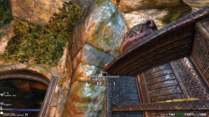 Skyrim  Паучья паутина.