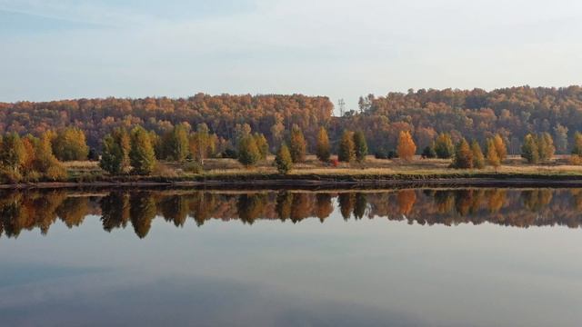 Autumn forest - cinematic video. Осенний лес. смотреть онлайн