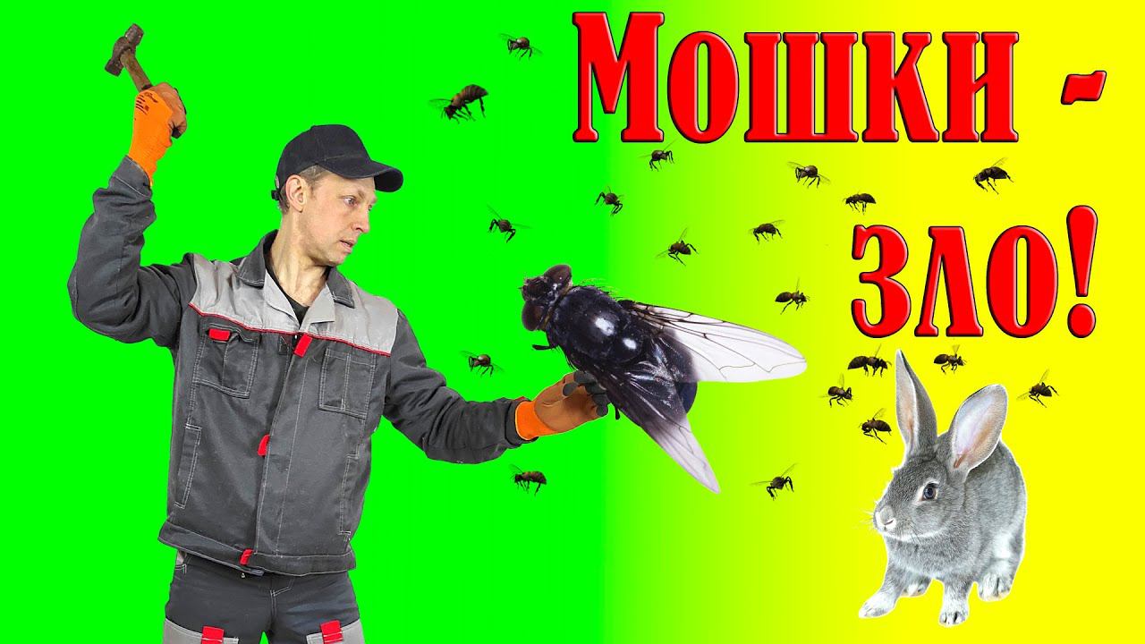 Мошки в крольчатнике/курятнике! Что делать? смотреть онлайн