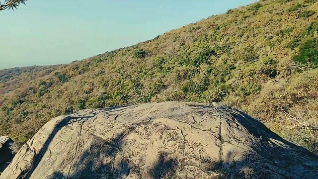 Gir Forest 2021 | Jungle Lion Trekking | Gir Forest | Gir Lion Reserve | Junagadh