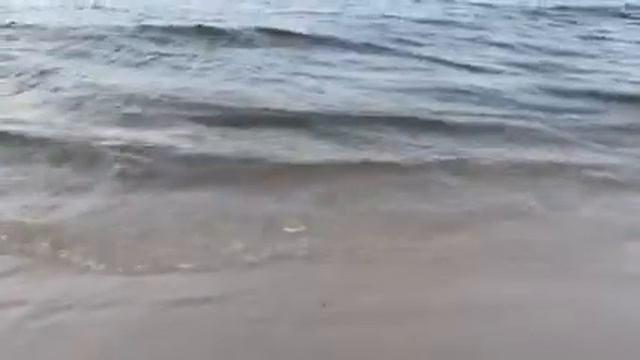 Шум Балтийского моря смотреть онлайн