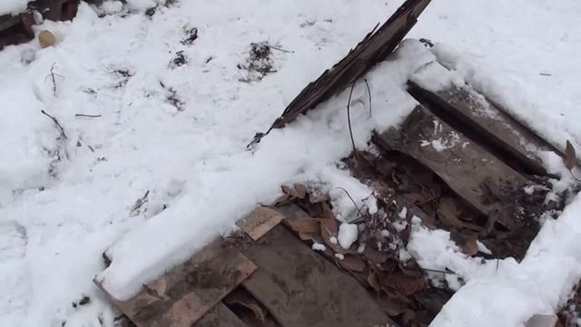 Едем заносить пчёл в зимовник. смотреть онлайн