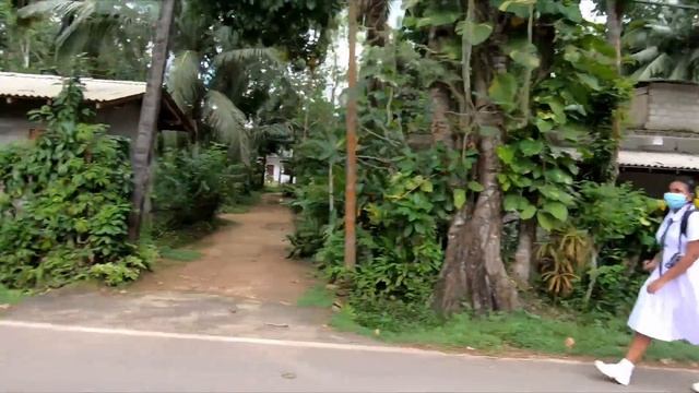 Один день на Шри-Ланке. VLOG Вот вам и Мирисса смотреть онлайн