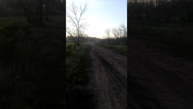 KAYO K1 250. Ощущение после езды. смотреть онлайн