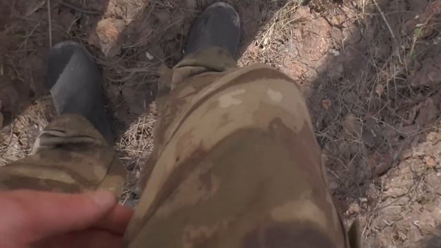 НУ НАКОНЕЦ ТО!!! ДОЖДАЛИСЬ!!! С БАБУШКОЙ по ГРИБЫ 2023! Первые весенние ГРИБЫ!