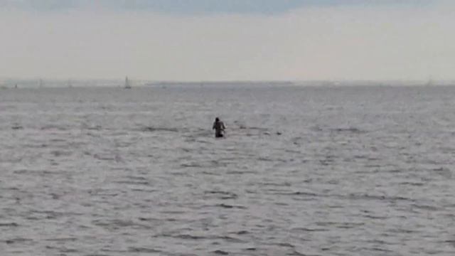 Это ПИТЕР! Парк 300-летия смотреть онлайн