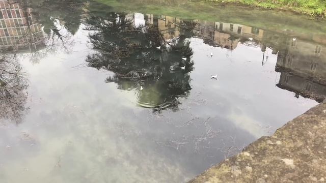 Рождество, Италия , стрит стайл, Яна свквоцова смотреть онлайн