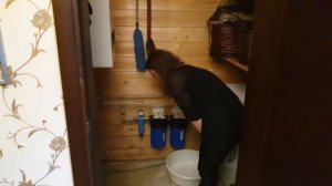 Комплексная система для дома- фильтр воды Аурус - отзыв покупателя