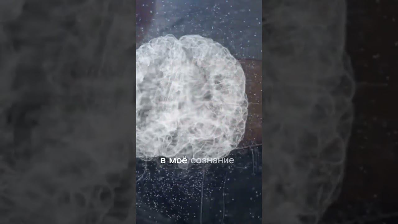 То, что нужно знать об аффирмациях смотреть онлайн