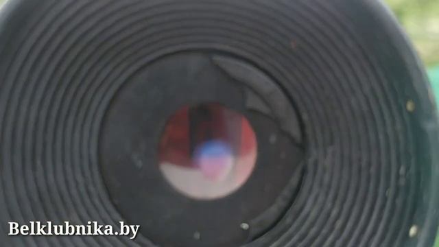 Сорт клубники ??Ада?? From Hell_) Belklubnika.by.mp4 смотреть онлайн