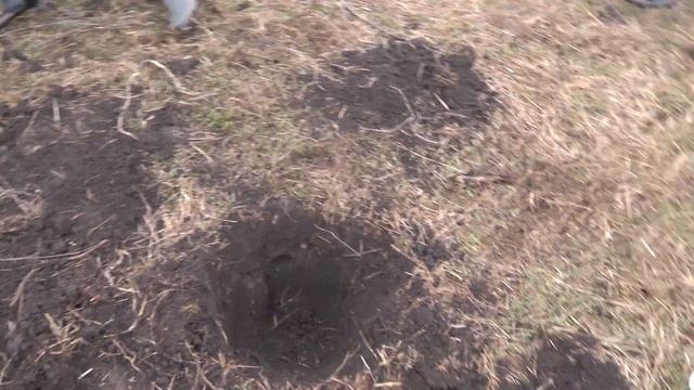 Первый выход с XP Deus 2. Небольшой тест приборов.