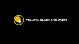 STS/Yellow, Black and White/Keystone Production (2016) #4