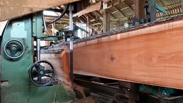 The Monster Mahogany Log Sawmill Terrible & Most Expensive