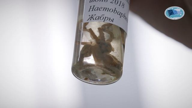 90 лет КамчатНИРО смотреть онлайн