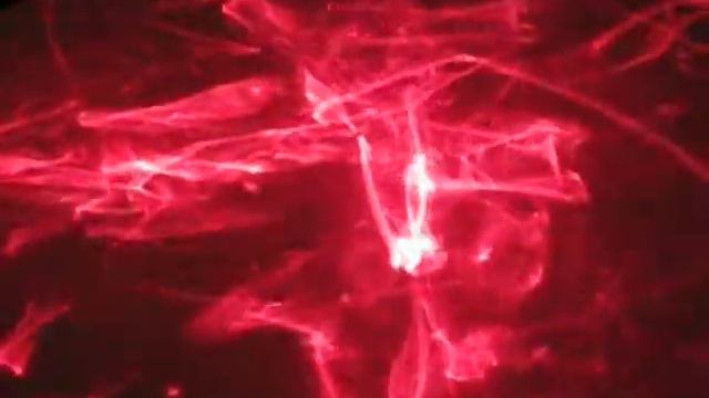 Fisher Scott Visualizer Video смотреть онлайн