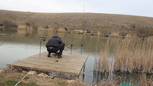 Первая рыбалка весной 2024 года,водоем Золотой ключ.Карп,карась смотреть онлайн