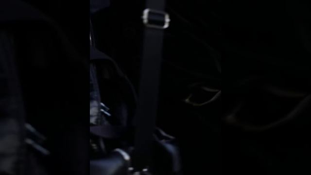 Сумка дорожная/спортивная смотреть онлайн