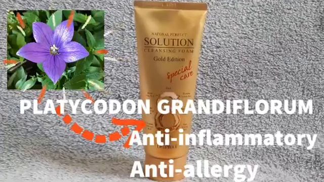 GLASS SKIN GLOW WITH DEOPROCE NATURAL PERFECT SOLUTION CLEANSING FOAM GOLD EDITION | Zoila and Sofi смотреть онлайн