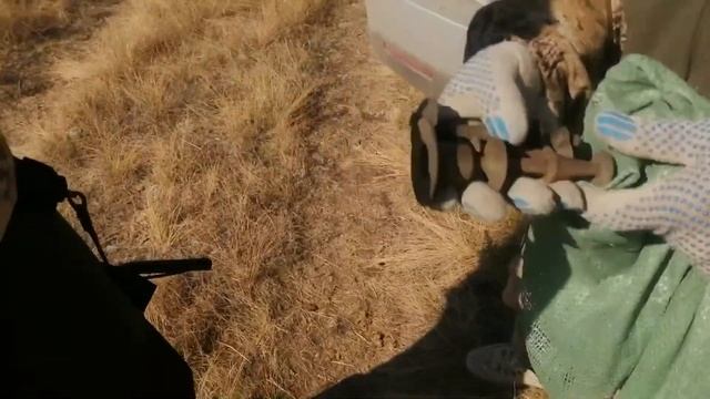 Дом Ленина в Кызыл орде и пробитый рубль смотреть онлайн