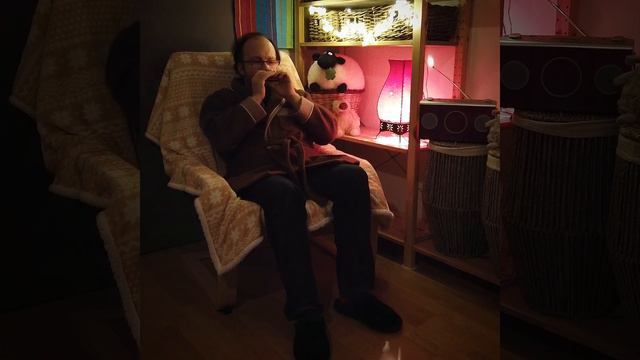 Hanter-dro à Griffon / Slängpolska från Mörkö - Harmonica смотреть онлайн
