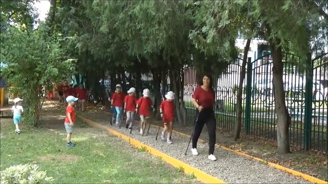 Видео "Скандинавская ходьба" смотреть онлайн