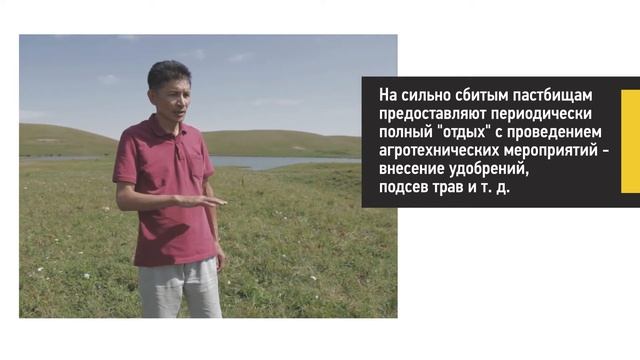 Пастбищеоборот при круглогодовом пастбищном содержании овец смотреть онлайн