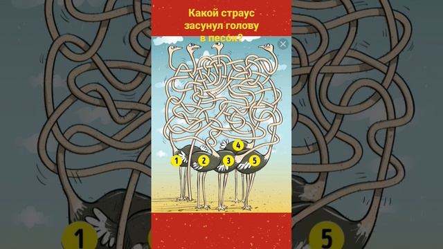 Какой страус засунул голову в песок?? #shorts #funny #danixmix смотреть онлайн