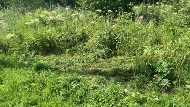 Аккумуляторный триммер DUR 181 ЛУЧШАЯ замена бензиновому триммеру смотреть онлайн