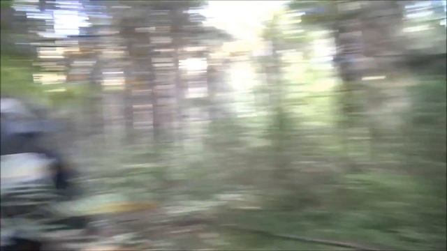 Гоняли двух зайцев и добыли. Р.Г. Говоруша и Нох 1год. 3мес. вл. Шатров В.А. смотреть онлайн