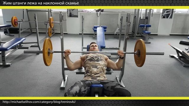 Жим на наклонной скамье смотреть онлайн