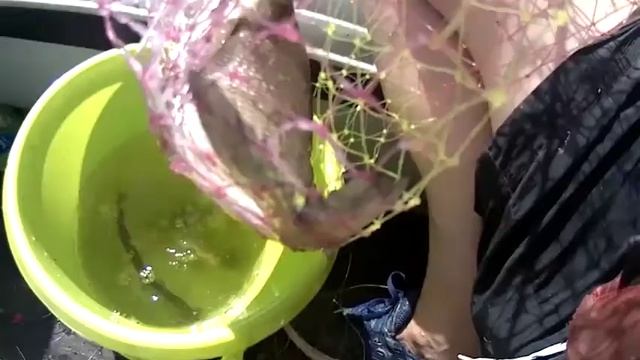 83 ЛОВЛЯ ЛЕЩА НА КОЛЬЦО. ЭФФЕКТИВНАЯ ДОНКА НА СУДАКА. ОТКРЫТИЕ РЫБАЛКИ.//VOLGA FISHING смотреть онлайн