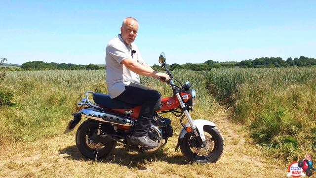 2023 Honda DAX ST125 Review