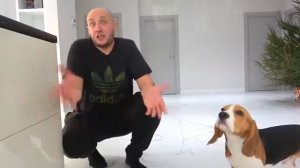 Nerf War 2020 | Лысая Борода Порвал БИЛЕТЫ на ТИМАТИ