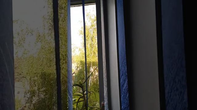 Вертикальные жалюзи дома. смотреть онлайн