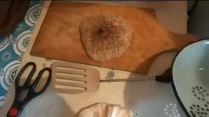 Съедобные грибы Зонтики