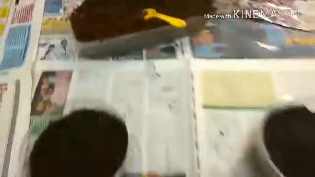 Ранняя посадка астр и незабудок. Сад у себя дома? очень просто! смотреть онлайн