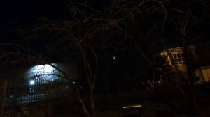 лазер против ворон