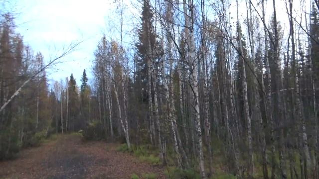 ПОХОД РЯБИНА-4 СЕРИЯ-НА ХАУС смотреть онлайн