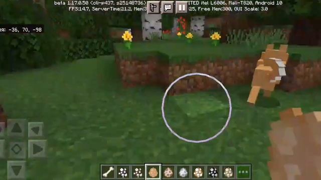 НОВЫЕ ВИДЫ СОБАК#майнкрафтпе#моды