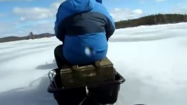 Форум любителей мотособак www motodog ru смотреть онлайн