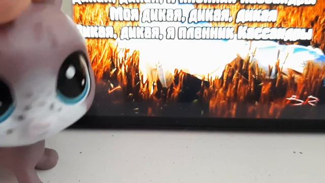 Lps клип "Моя дикая касандра" в опис!!! смотреть онлайн