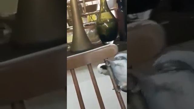 А Вам слабо́?! смотреть онлайн