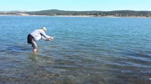 На резинку и живца ловим трофейную щуку и судака.17.09.2018.