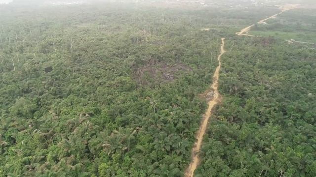 Belle vue de haut d'un site encore vierge à Douala ? смотреть онлайн