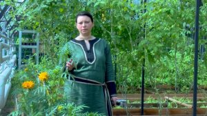 Вегетарий - будущее органического земледелия.