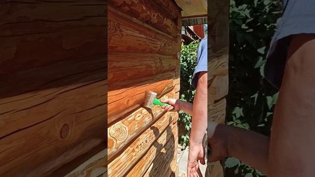 нанесение масла Biofa 2043 цвет Биофа 1009