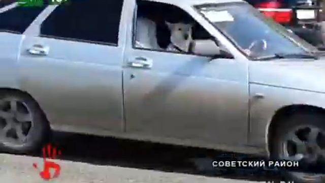 Сгорел байк смотреть онлайн